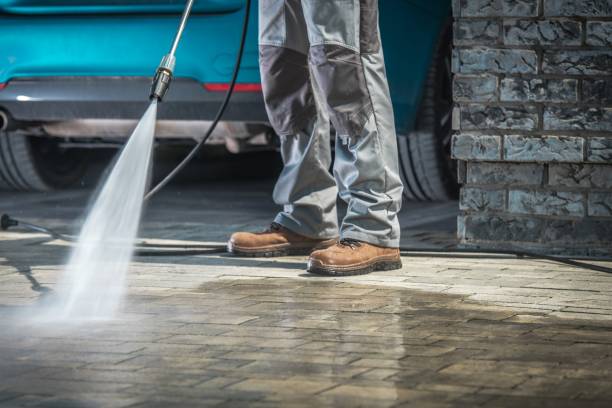 Best Soft Washing  in Waverly, IL
