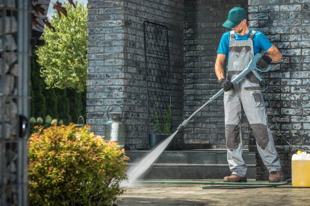 Best Paint Preparation  in Waverly, IL